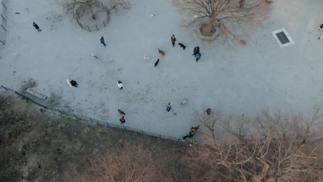 aerial view overlooking people at the west 72nd street dog run in riverside park, sunny spring morning in new york, usa - tilt, drone shot