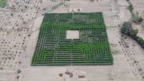 video de drones de un laberinto de árboles verdes en un desierto como los alrededores