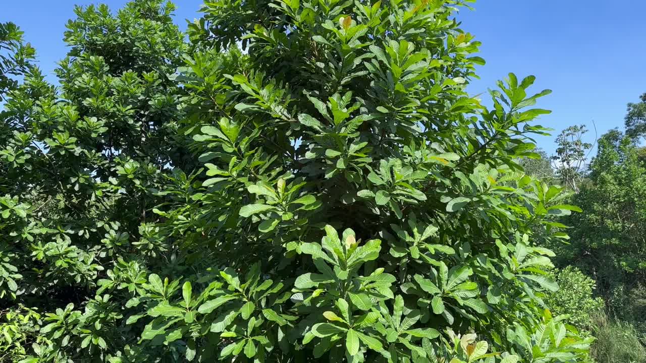 hermosos y espectaculares paisajes de colombia 5