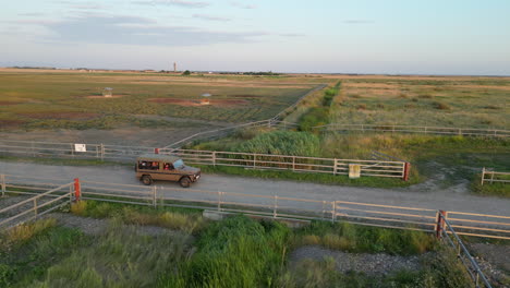 Bison-farm-in-Europe-seen-from-the-air