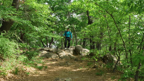 hombre caminando en el bosque de montaña