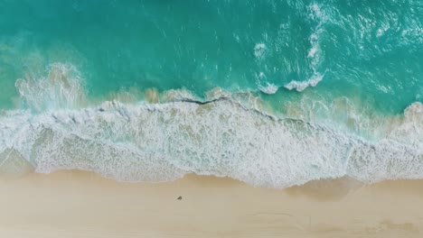 top down birds eye view of waves crashing on tropical white sand beach