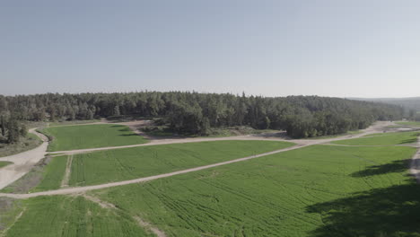 drone flies over a green wheat field in the center of a large forest to above forest tree line - push in shot