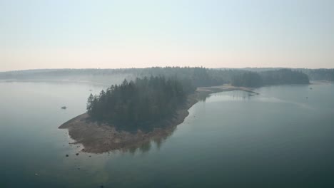 penrose state park washington, usa - view of a calm water with green pine trees - aerial shot