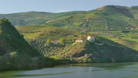 hermosos viñedos y terrazas en la región del douro de portugal