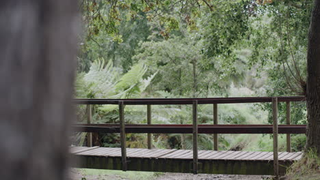 Two-athletes-running-across-a-footbridge