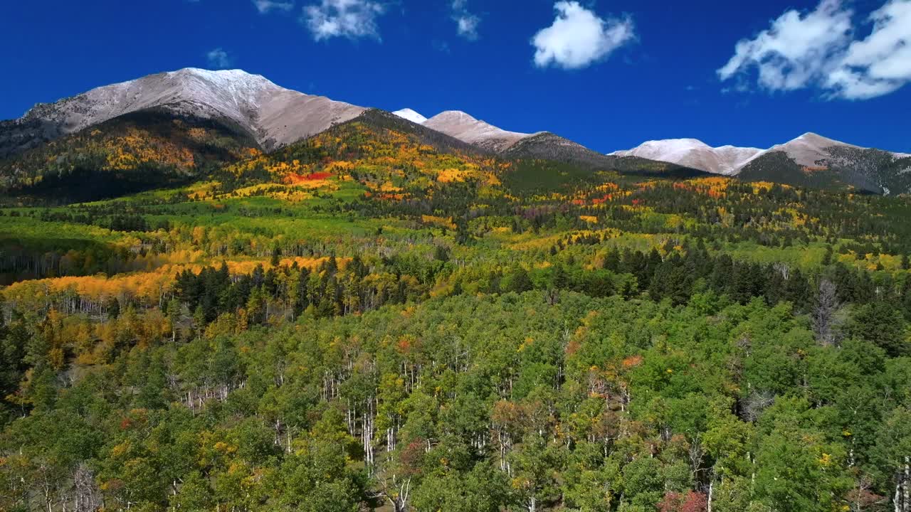 Mount Mt Shavano Tabeguache Peak aerial drone Colorado trail fall autumn Aspen Trees first snow dusting Swatch Range Salida Buena Vista morning vibrant blue sky San Isabel National Forest backward pan