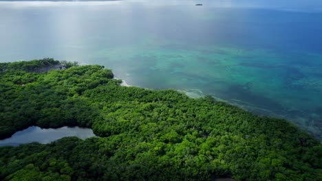 lush vegetation covering a tropical island in rosario islands, colombian