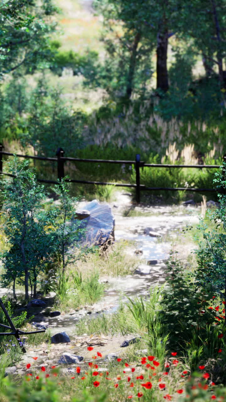 울창한 숲 속의 조용한 하천