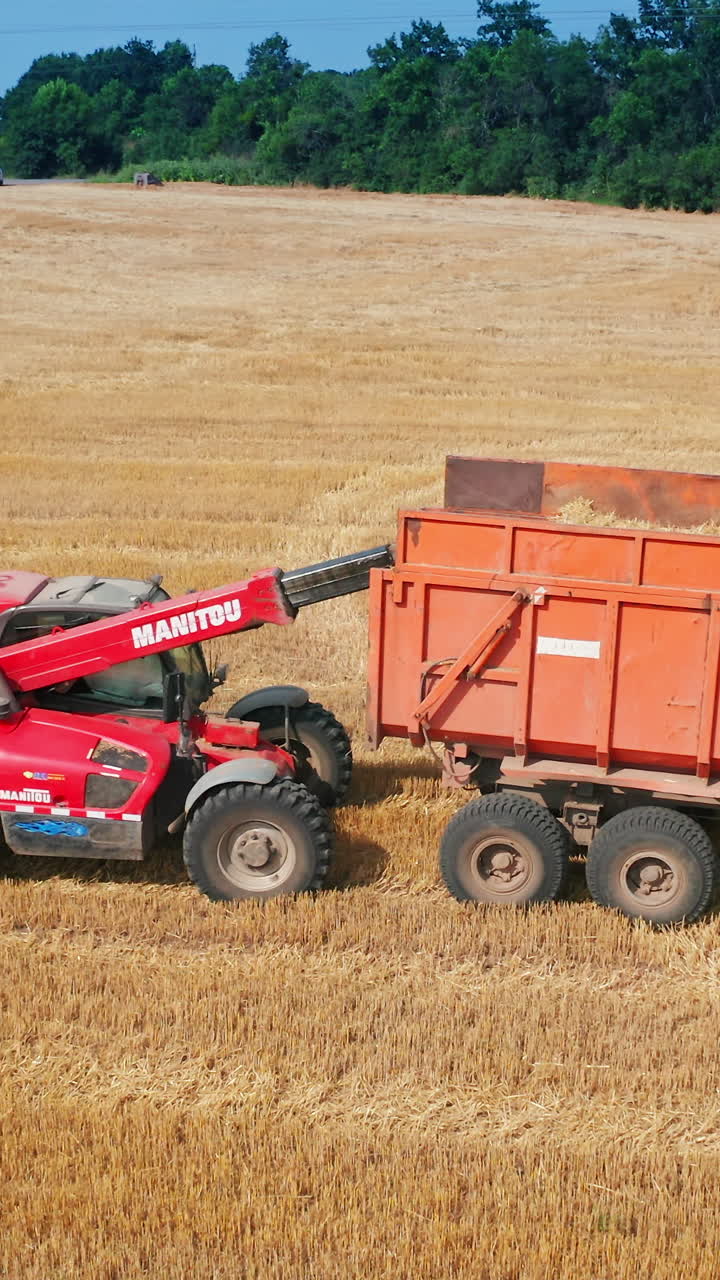Seasonal combine harvesting. Mavhine farming in the field. Vertical video