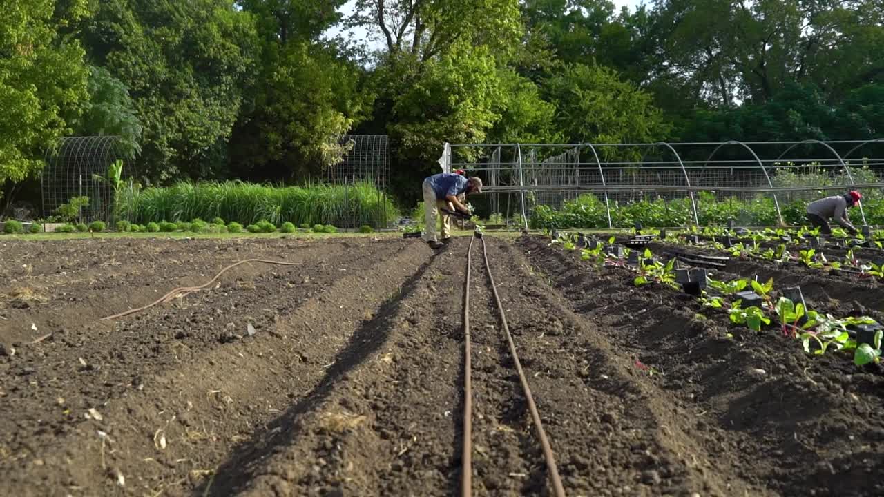 Se ve a agricultores plantando en un jardín