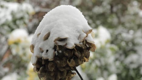 Primera-Tormenta-De-Nieve-Seria-Del-Invierno-Este-Año-2021,-En-El-Reino-Unido-Aquí-En-Oakham-En-El-Condado-De-Rutland