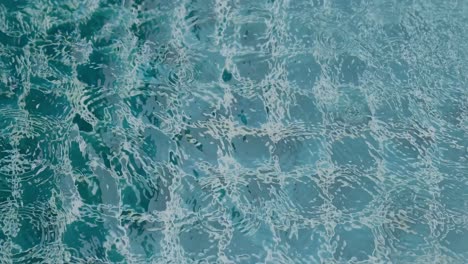 raindrops create ripples on a pool's surface, showcasing a serene, textured water pattern under natural lighting