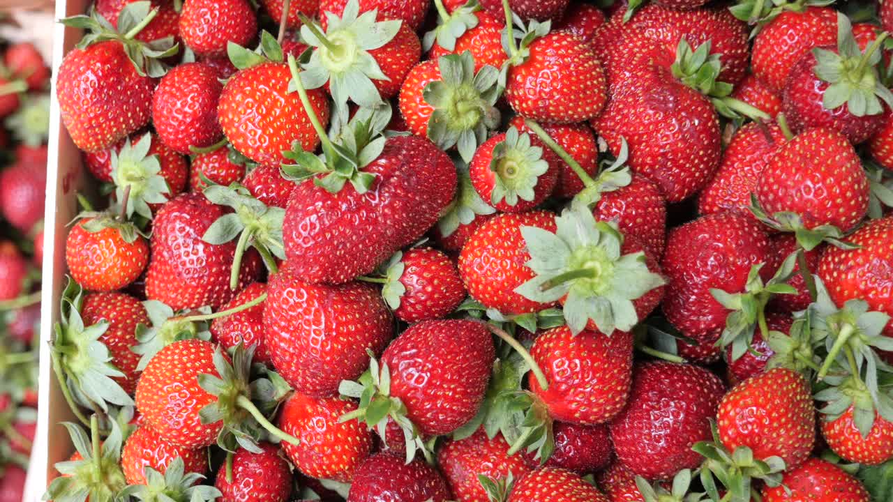 fresas en una caja de madera