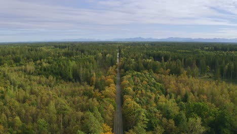 Maravillosa-Vista-Aérea-Sobre-Un-Amplio-Bosque-Verde-Con-Una-Calle-Que-Conduce-A-Través-De-Los-árboles-Y-Las-Montañas-Alpinas-En-El-Horizonte-De-Fondo