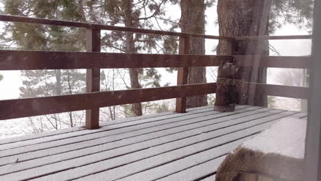 Schnee-Fällt-Auf-Eine-Holzterrasse-Mit-Einer-Bärenstatue,-Die-Sagt:-&quot;Wisch-Deine-Pfoten-Ab