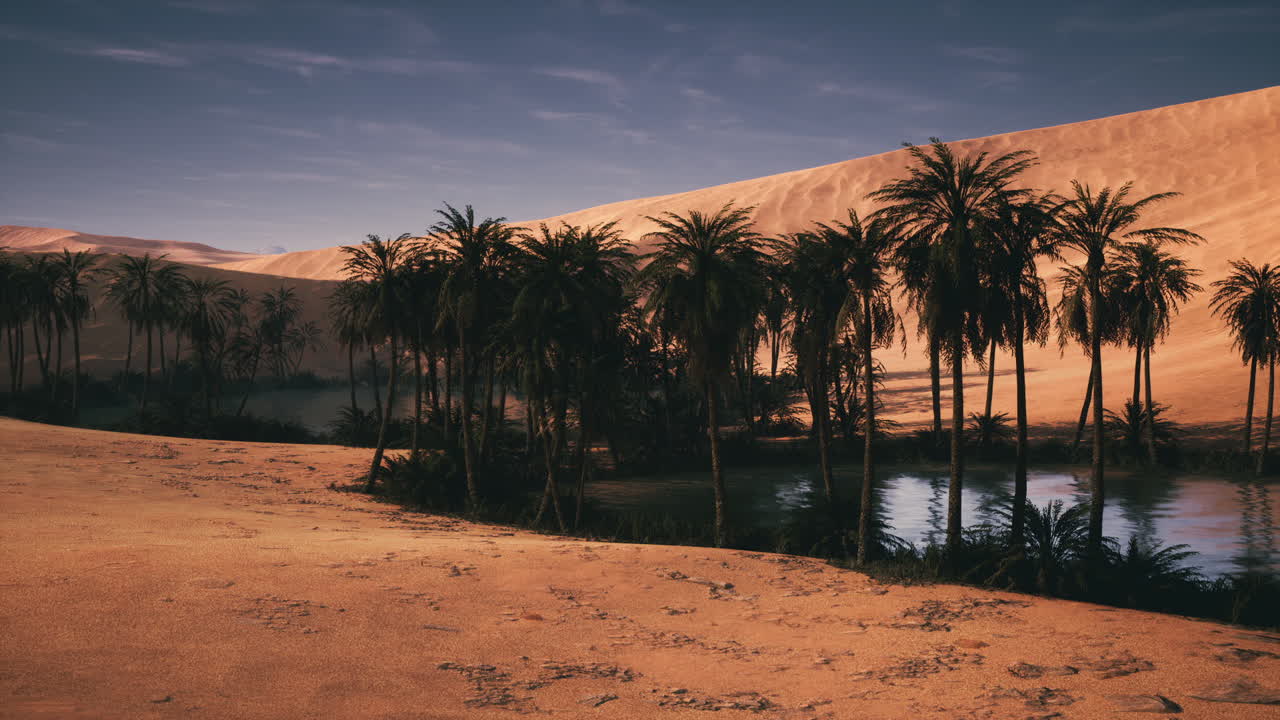 Palm trees surround a tranquil oasis in a desert landscape at dusk