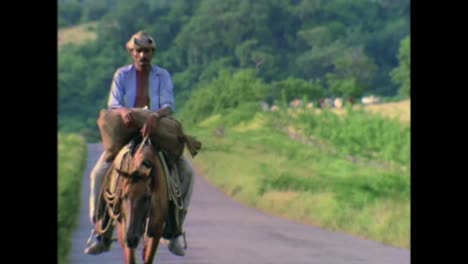 Die-Wunderschöne-Vinales-Nationalparkregion-Auf-Kuba-In-Den-1980er-Jahren-1