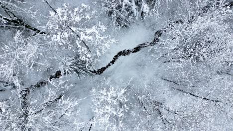 los árboles cubiertos de nieve rodean el arroyo congelado serpenteando debajo de la escena de invierno del bosque blanco, el dron girando de arriba hacia abajo