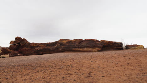 Tronco-De-Madera-Gigante-Con-Tierra-Arenosa-En-El-Parque-Nacional-Del-Bosque-Petrificado,-Tiro-Estático