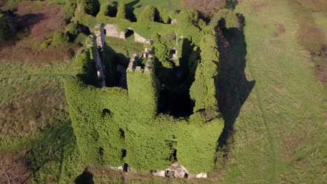 Sanfte-Und-Schnelle-Umlaufbahn-Um-Das-Mit-Efeu-Bedeckte-Menlo-Castle