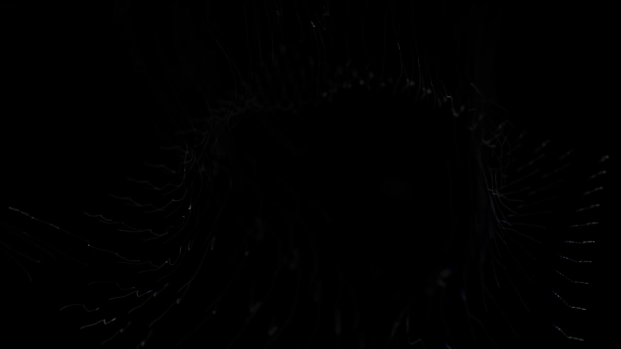 9 partículas de línea brillante colección dinámica de flujo de líquido. fondos de transmisión de neón. ciber binario. matriz abstracta de brillo. fondo digital de partículas brillantes con profundidad de campo, bokeh. renderización 3d