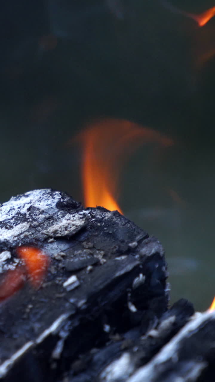 Tongues of flame fire close up. Warm fireplace with lots of trees ready for barbecue