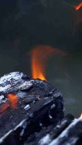 tongues of flame fire close up. warm fireplace with lots of trees ready for barbecue