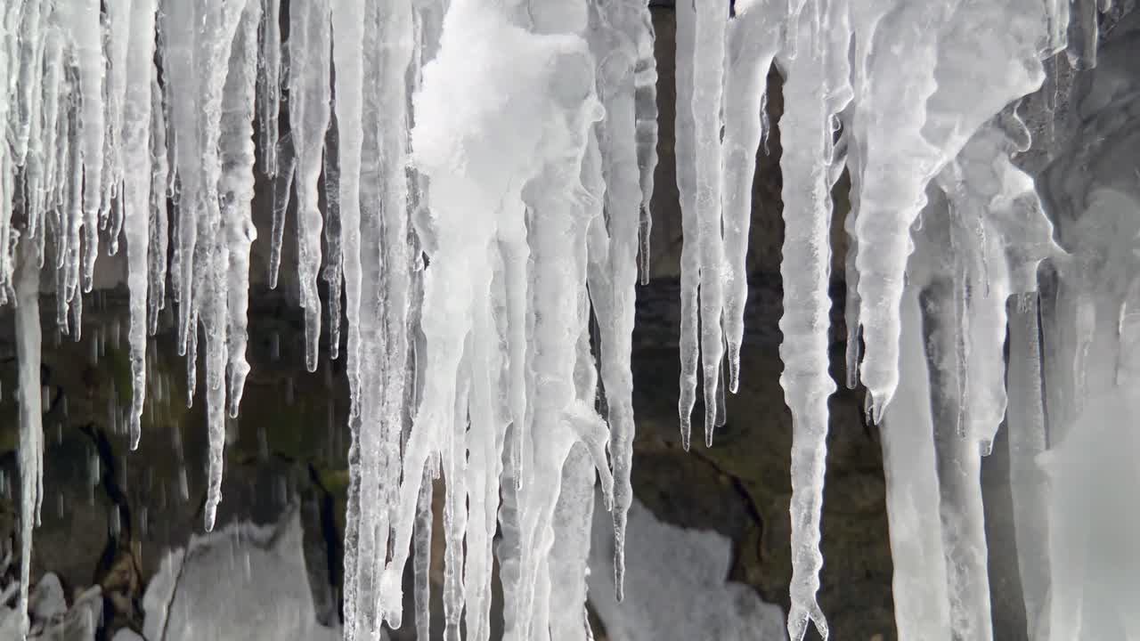 녹는 고드름에서 떨어지는 물방울의 느린 패닝 클로즈업