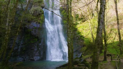 Seimeira-de-Vilagocende-Waterfall-Plunging-Into-Natural-Pool-In-Forest