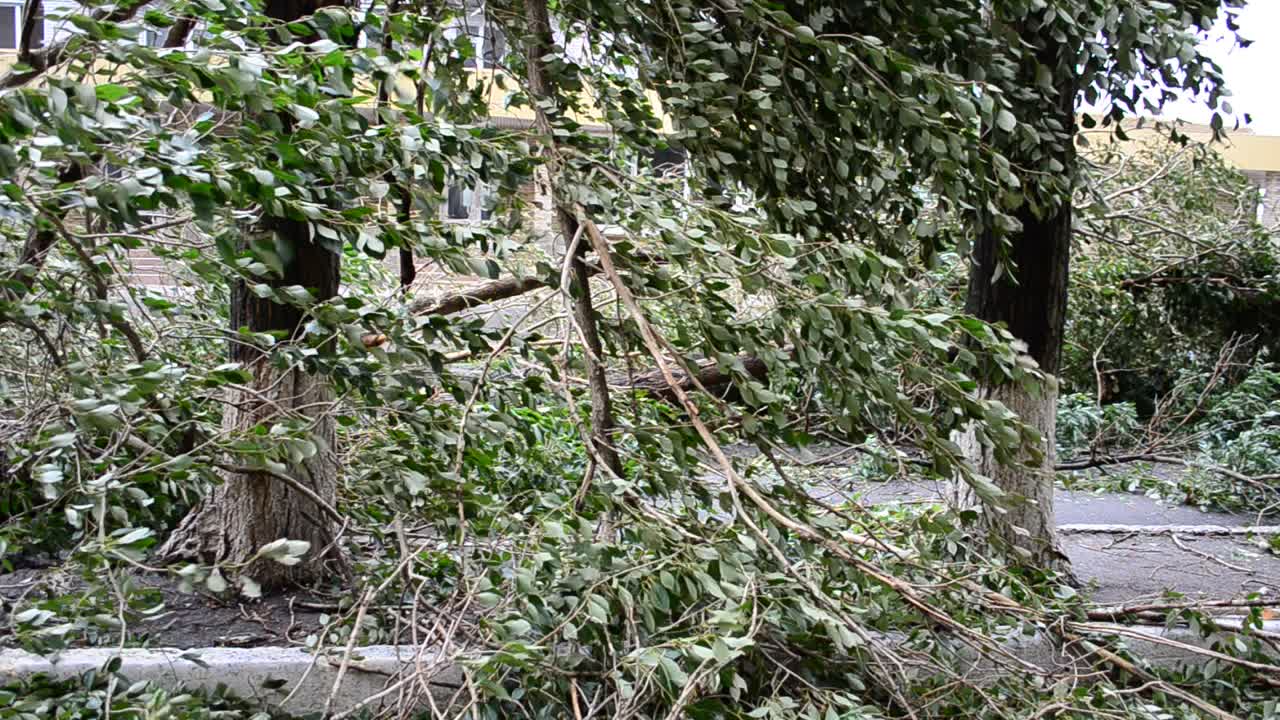 Vento di burrasca. Vento forte in città