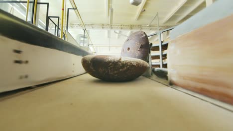 bread products on factory conveyor belt. bread production line