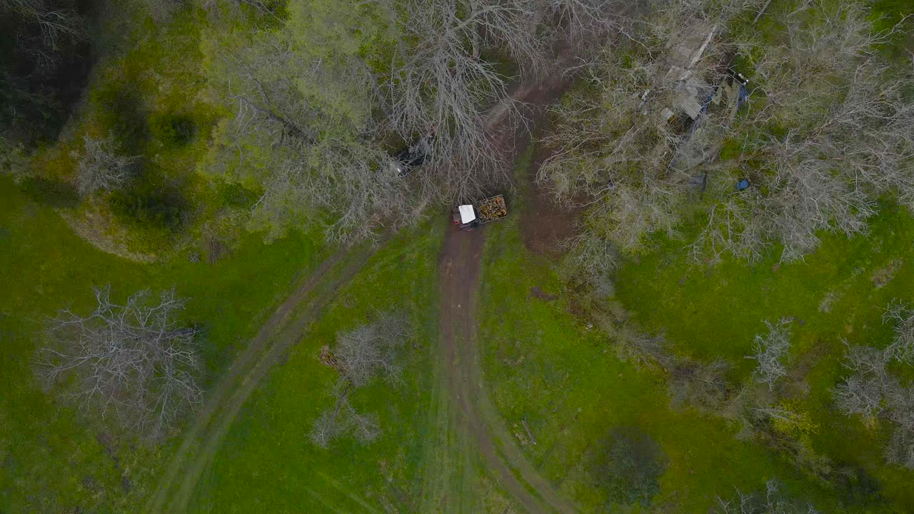Footage of aerial descending toward treetops and dirt roads while tractor is transporting wood, front box is full of logs. Idyllic spring landscape with green ground, bare white trees and dusty path