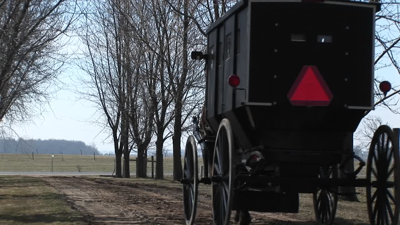 아미쉬 말과 마차가 승객과 함께 주요 도로를 향하고 있으며 마차 뒤쪽에 경고용 빨간색 삼각형이 있습니다.