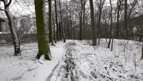 Draußen-Auf-Dem-Schwedischen-Waldweg-Spazieren