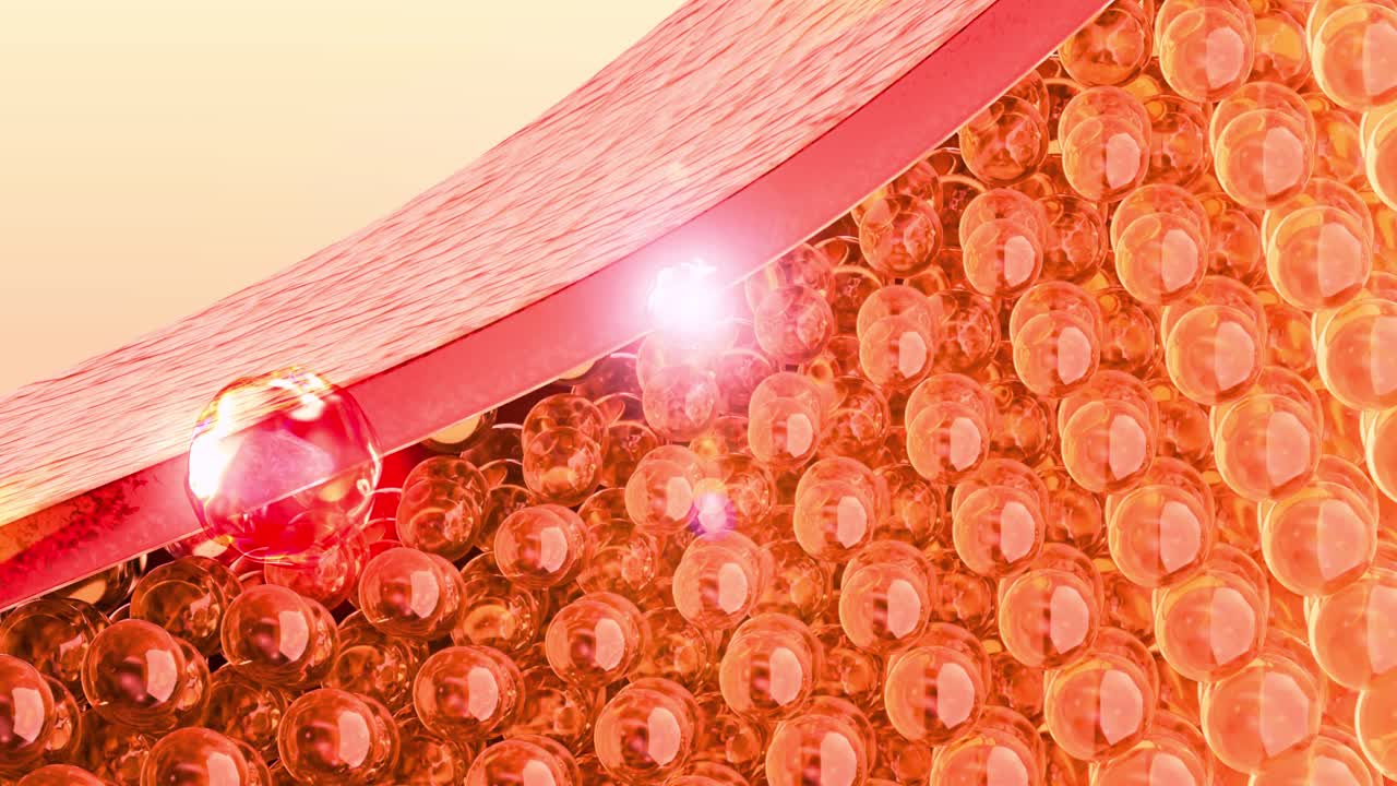 3D-animation af hudplejeingredienser, der absorberes i hudceller