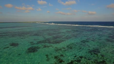 la laguna y los manglares de lac bay en bonaire, antillas holandesas