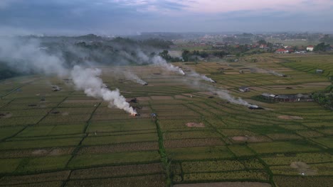 El-Humo-Se-Eleva-De-Los-Incendios-En-Los-Campos-De-Arroz-Para-Reabastecer-El-Suelo-Con-Nutrientes.