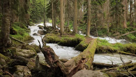 Río-De-Montaña-En-El-Bosque.-Hermoso-Paisaje-De-Vida-Silvestre.