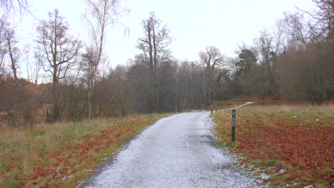 Slow-pan-of-winter-trees-near-a-path-in-the-countryside