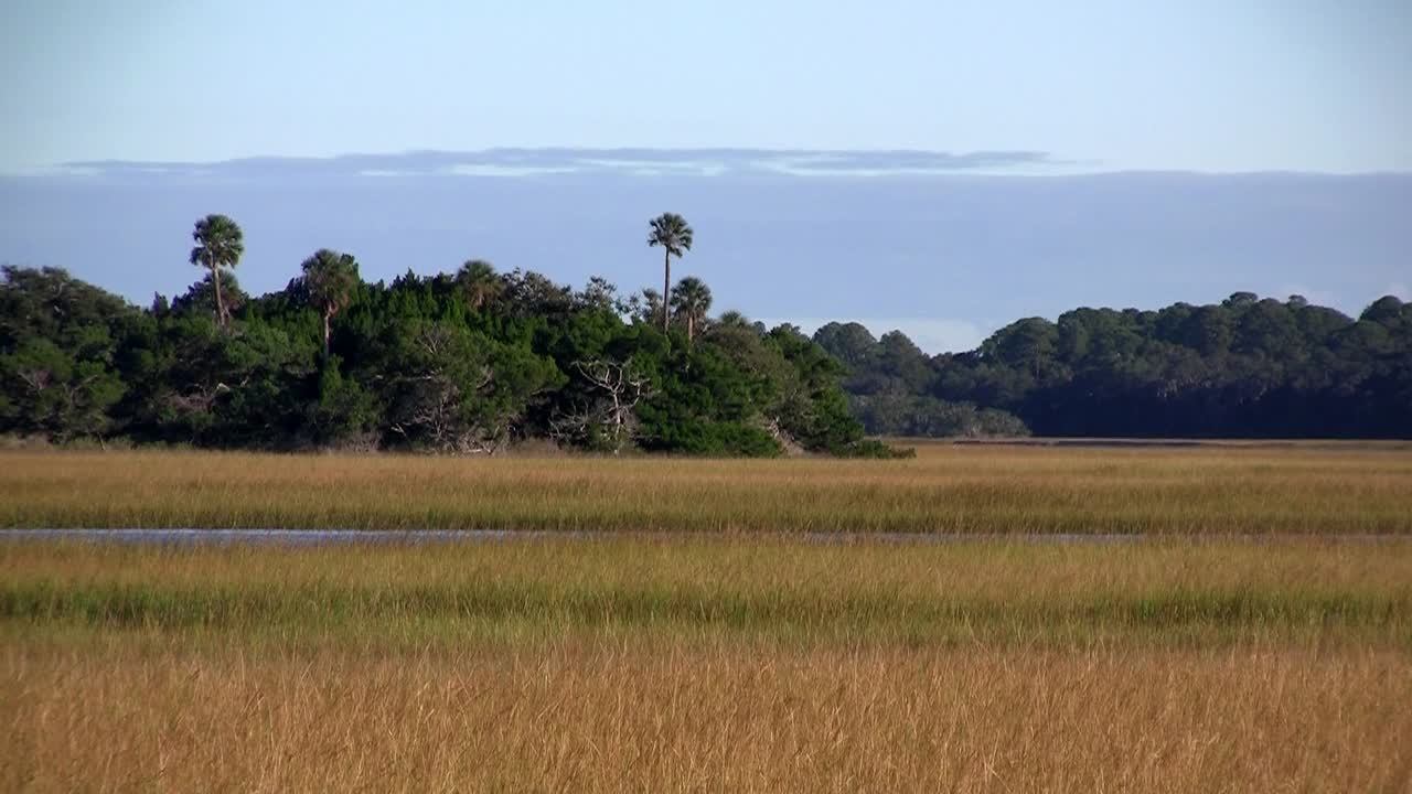 un pantano salado cerca de san agustín florida 3