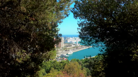 aerial view of a coastal port framed by lush trees, with clear blue water and cruise ships docked at the marina