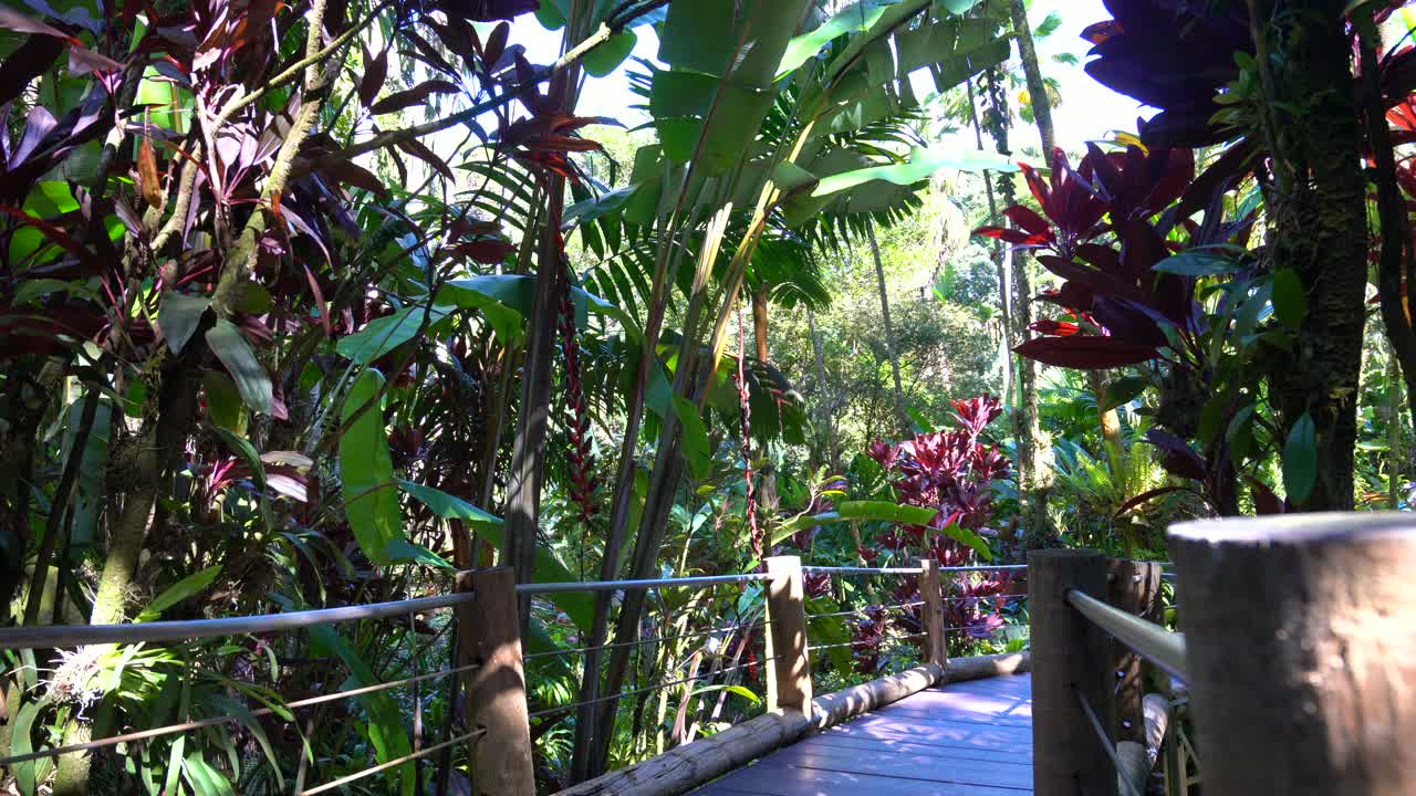 jardín botánico tropical en hilo - isla grande de hawai'i