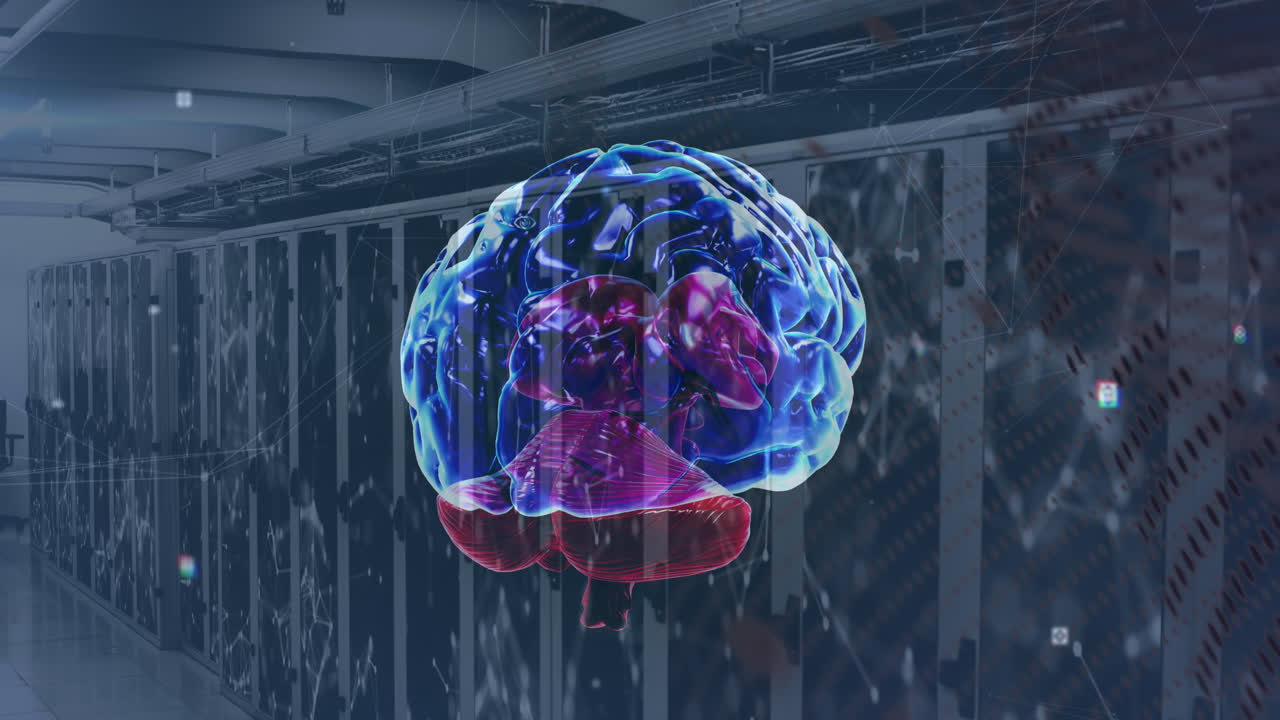 animación de la red de conexiones y cerebro sobre la sala de servidores