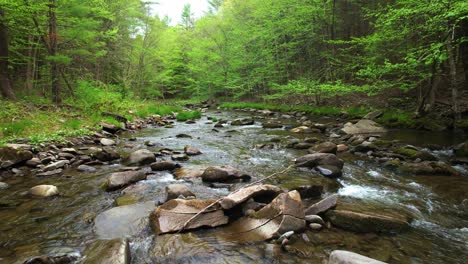 low angle drone footage of a beautiful stream in a lush, green, magical forest with a setting sun