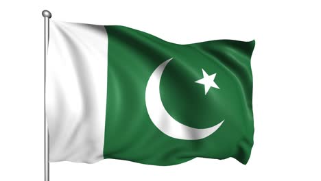 bandera de pakistán con estructura de tela en el viento (canal alfa, en bucle)