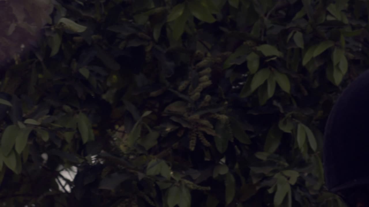 toma de primer plano cinematográfica de una mujer montando un caballo mientras lleva un traje en blanco y negro y guantes blancos para montar caballos en cámara lenta