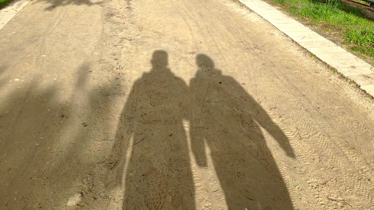 Shadow of a couple walking on a footpath made of sand and surrounded by grass in a park