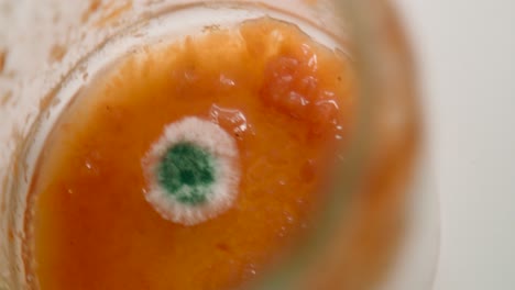 Close-up-view-of-the-growth-of-molds-and-pathogens-in-food-container