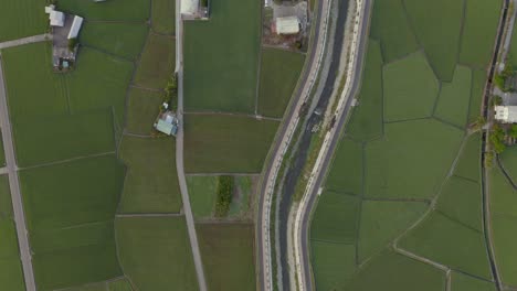 Amazing-Rice-Paddy-Fields-Of-Chishang-Town-In-Taichung,-Taiwan---aerial-shot